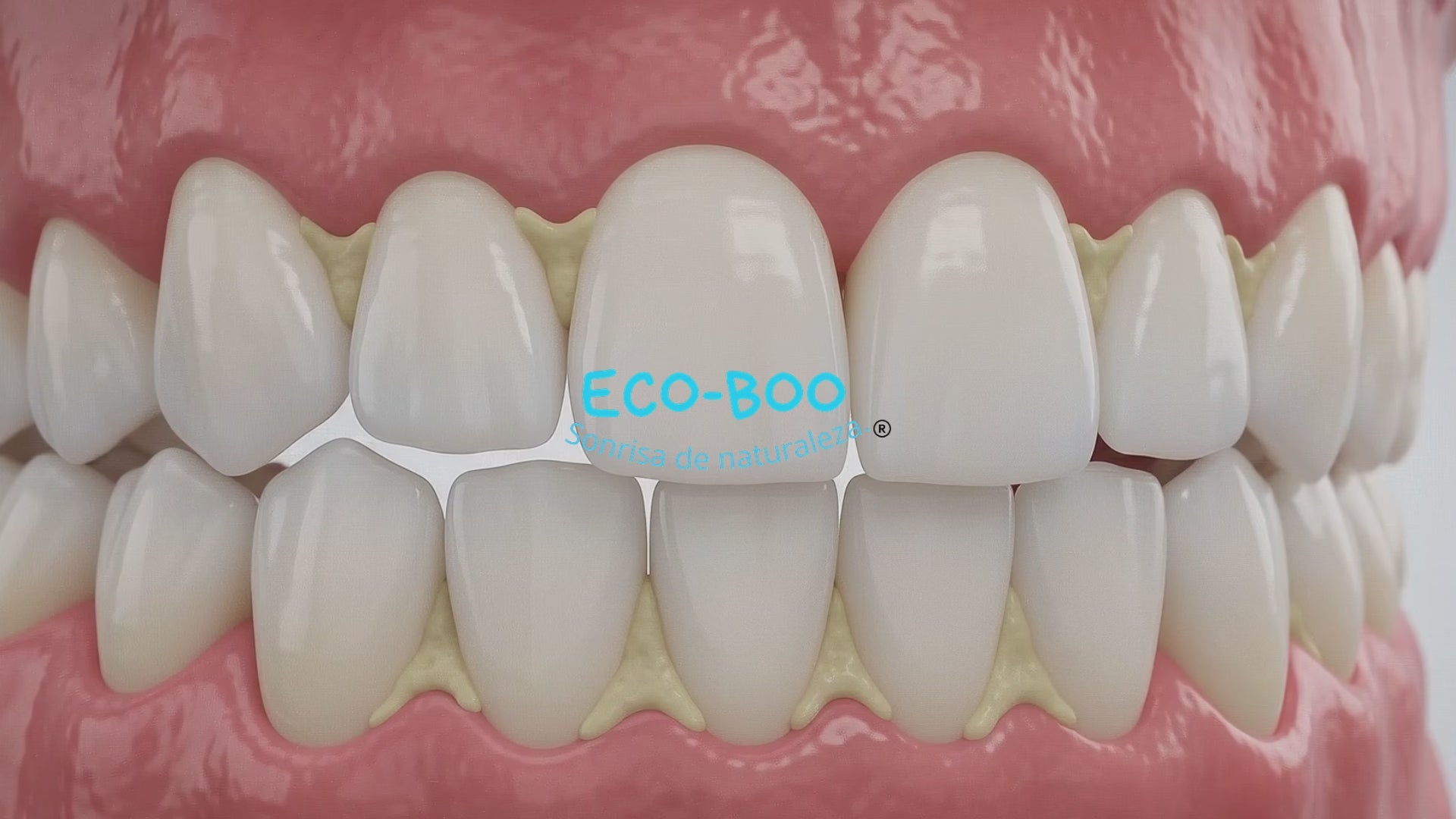 Cargar video: 